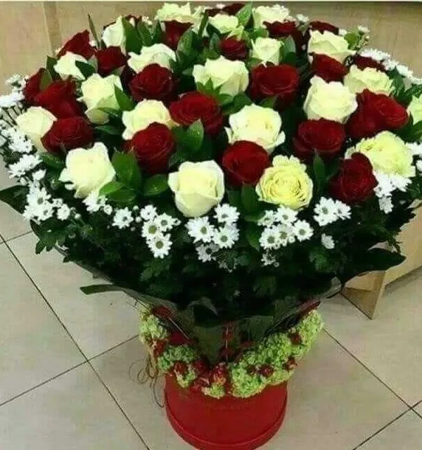 Secret Garden Splendor